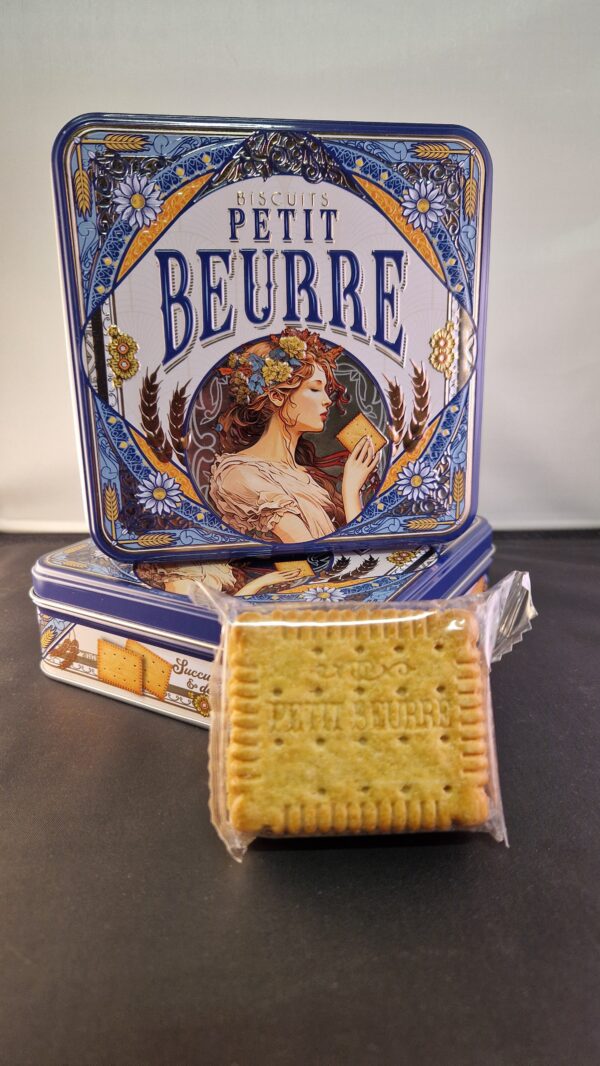 Petit beurre à la Fleur de sel boîte rétro