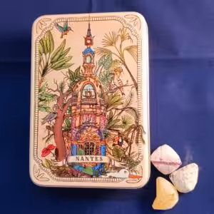 Boîte comptoir Jules Verne Berlingots Nantais